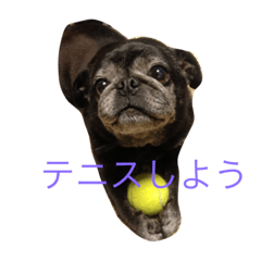 [LINEスタンプ] rabu00