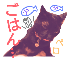 [LINEスタンプ] しょこらの日常