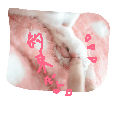 [LINEスタンプ] everyday smile