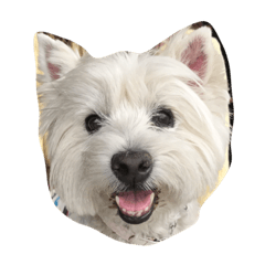 [LINEスタンプ] westie angie