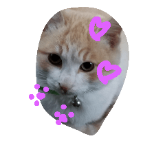 [LINEスタンプ] nyannkonyannko