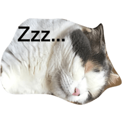 [LINEスタンプ] yoshiko.e
