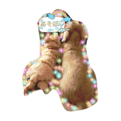 [LINEスタンプ] 癒し犬ぷりん