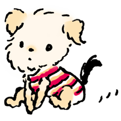 [LINEスタンプ] マルヨーキーのくぅちゃん
