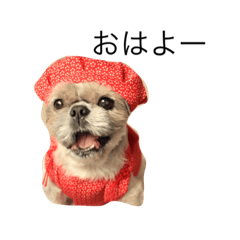 [LINEスタンプ] 還暦がっちゃん♡