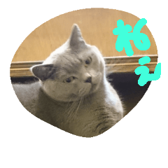 [LINEスタンプ] h-jimen