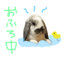 [LINEスタンプ] ちむ2