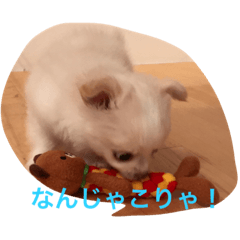 [LINEスタンプ] ポメチワコタロー