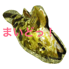 [LINEスタンプ] 魚の言葉