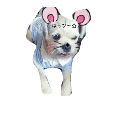 [LINEスタンプ] l o v e d o g