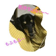 [LINEスタンプ] 林檎ちゃんち2