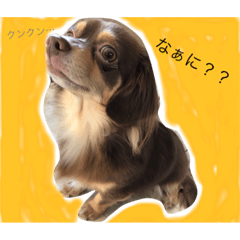 [LINEスタンプ] こはるとひより