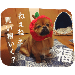 [LINEスタンプ] 福の毎日シリーズ第2弾！