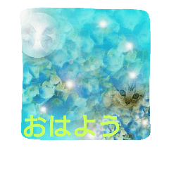 [LINEスタンプ] かいつんつん