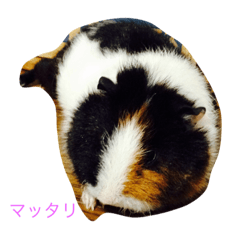 [LINEスタンプ] Hacchan's1