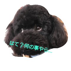 [LINEスタンプ] ミントとサラ 