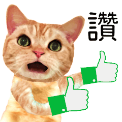 [LINEスタンプ] Fat cat Everyday story