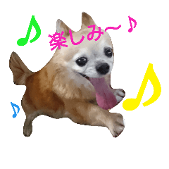 [LINEスタンプ] Chatter of Sorako