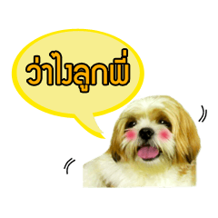 [LINEスタンプ] Work family