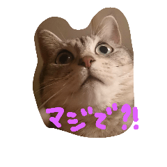 [LINEスタンプ] ラブ日々