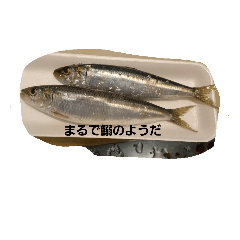 [LINEスタンプ] 中里です