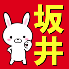 [LINEスタンプ] 超★坂井(さかい・サカイ)なウサギの画像（メイン）