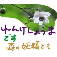 [LINEスタンプ] しぜんのつぶやき