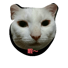 [LINEスタンプ] マシュマロ・テト・ぼんちゃん日和