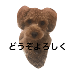 [LINEスタンプ] あざといぷー part2