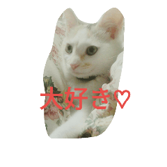 [LINEスタンプ] 女王様つぶの日常