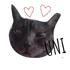 [LINEスタンプ] pretty cat unichan