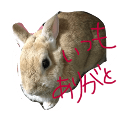 [LINEスタンプ] 愛娘アリアナ