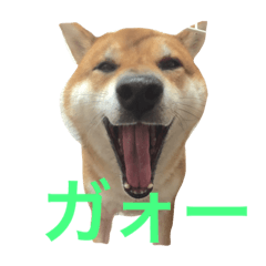 [LINEスタンプ] みみ太です。