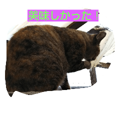 [LINEスタンプ] ニャーゴ