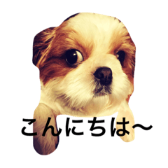 [LINEスタンプ] ikuraAmida