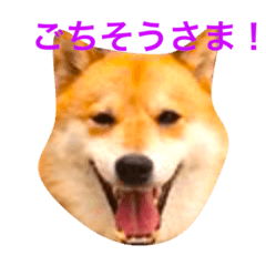 [LINEスタンプ] ナナの第三弾