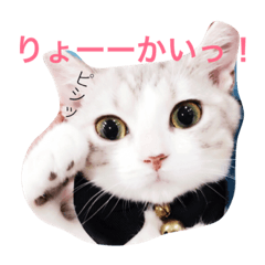 [LINEスタンプ] ネギとタマ