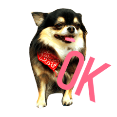 [LINEスタンプ] チワワム