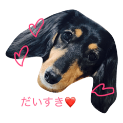 [LINEスタンプ] あいあむのんちゃん