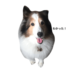 [LINEスタンプ] Kein kun