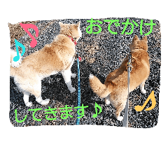 [LINEスタンプ] animal family！