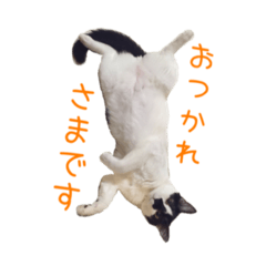 [LINEスタンプ] フランすたんぷ①