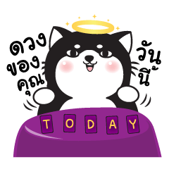[LINEスタンプ] Greanlnw CatTarot