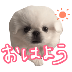 [LINEスタンプ] もふっと ぺきなな