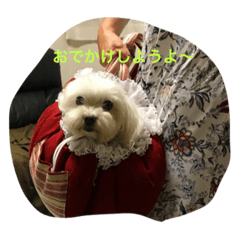 [LINEスタンプ] choco080119