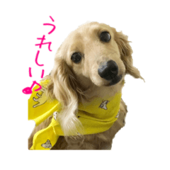 [LINEスタンプ] なならりぴの すたんぷ