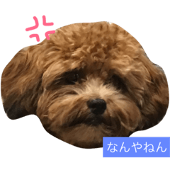 [LINEスタンプ] ミロpart2