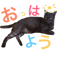 [LINEスタンプ] よく使うVer.