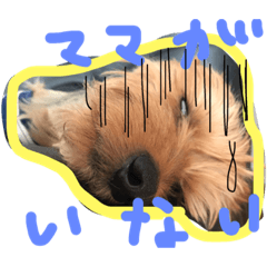 [LINEスタンプ] where mom