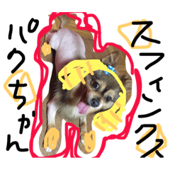 [LINEスタンプ] パクちゃんパート2